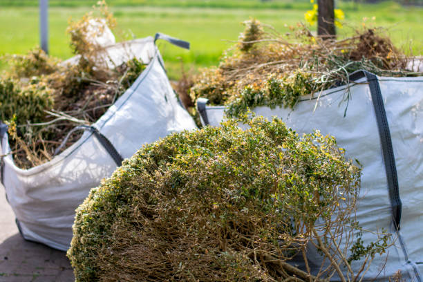 Basement Cleanout Services in Acres Green, CO