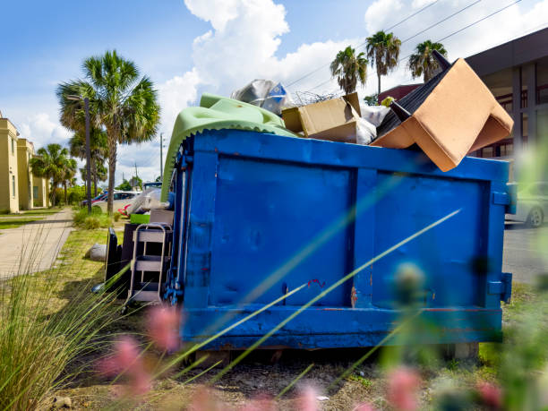 Best Electronics Removal Services  in Acres Green, CO